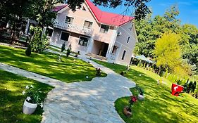 Pink House Runcu