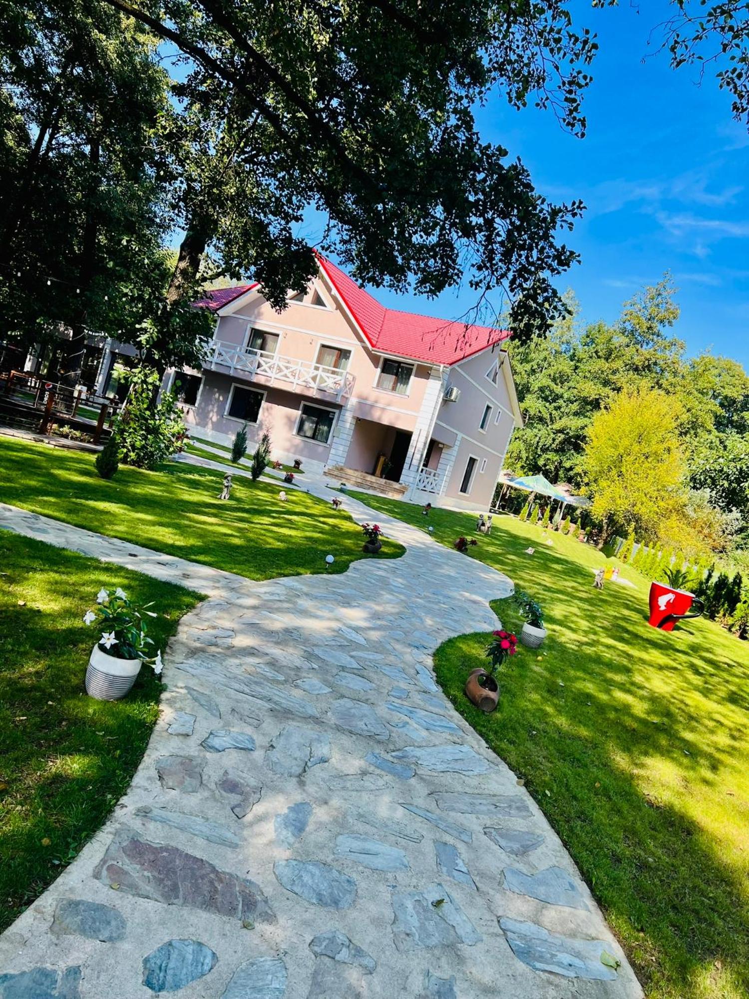 Pensiunea Pink House Runcu Hotel Runcu  Exterior foto